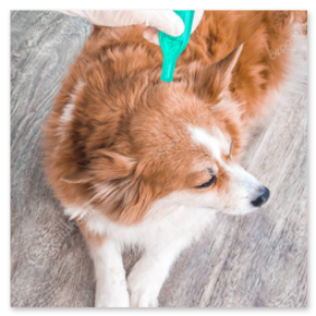 TikTok clip: Vtuber reaction moment